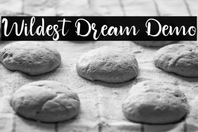 Wildest Dream Demo Font examples