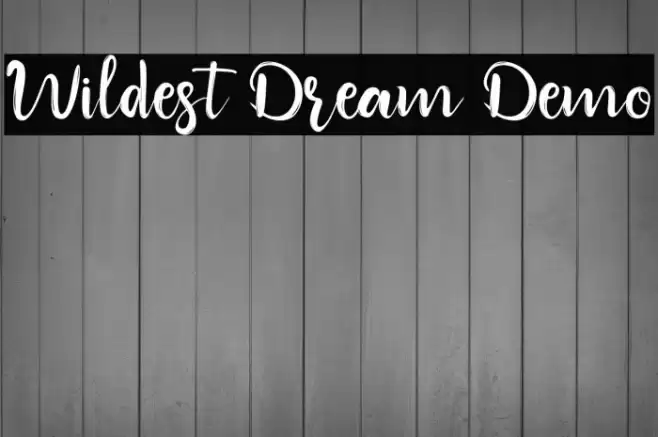 Wildest Dream Demo Font examples