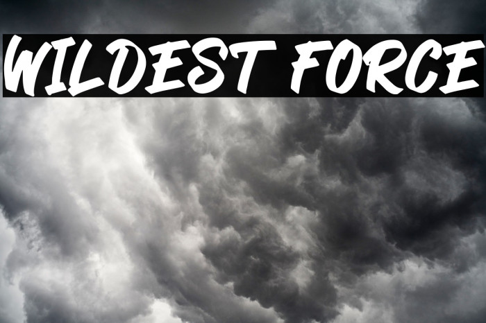 Wildest Force Font examples