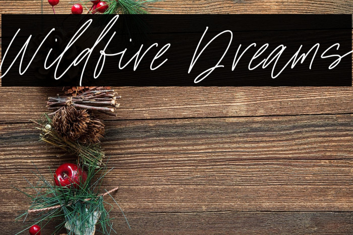 Wildfire Dreams Example 1