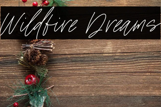 Wildfire Dreams Example 1