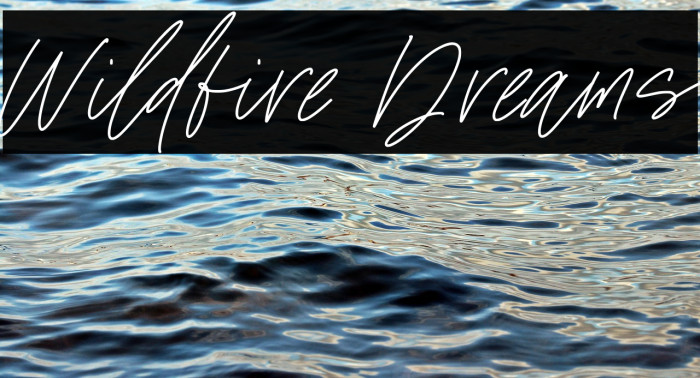 Wildfire Dreams Example 2