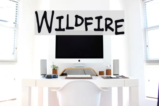 Wildfire Example 1