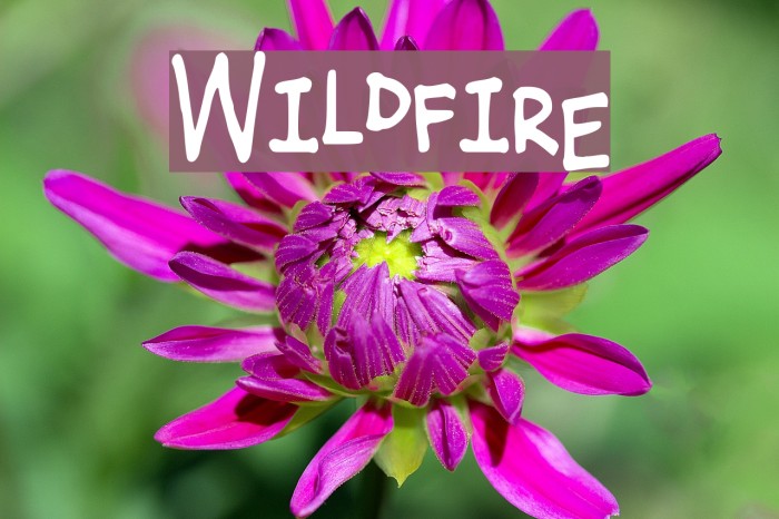 Wildfire Font examples
