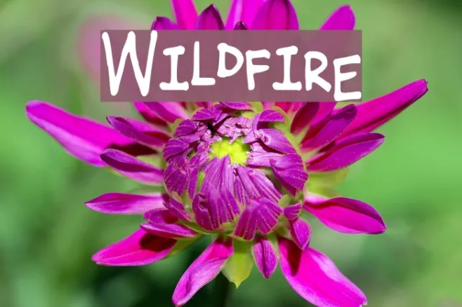 Wildfire Example 2