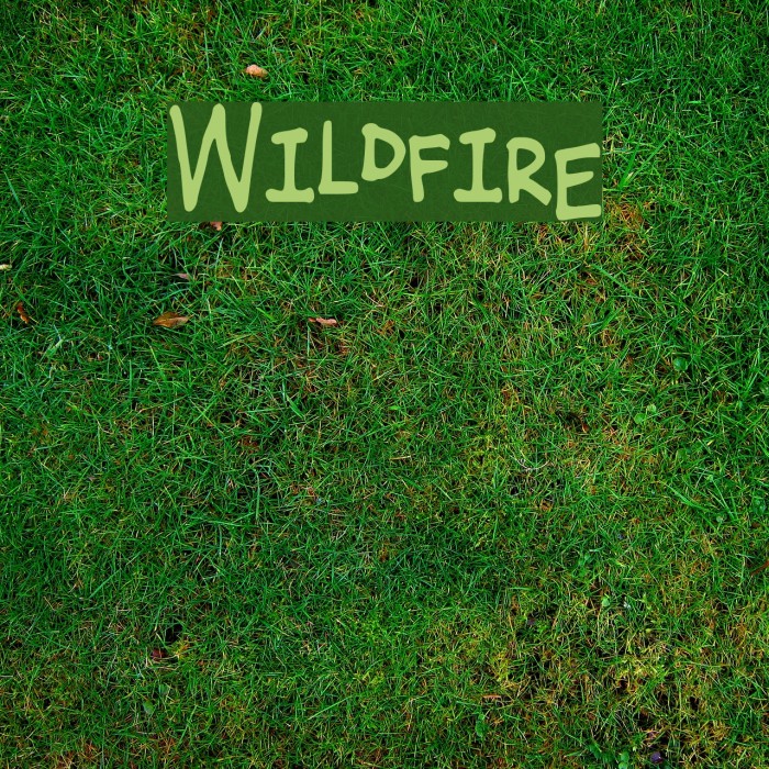 Wildfire Font examples