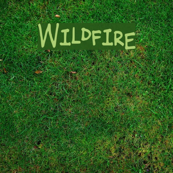 Wildfire Example 3