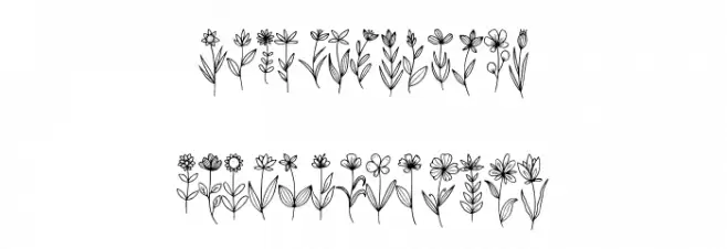 Wildflow Font OTHER CHARS