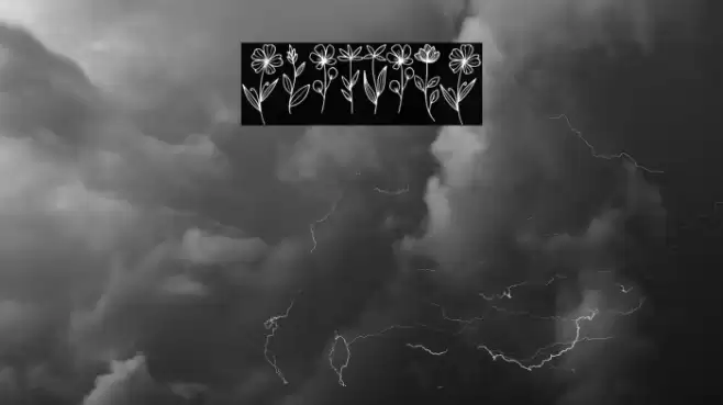 Wildflow Font examples