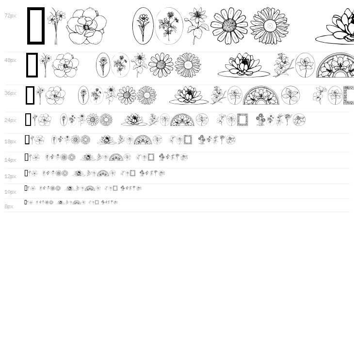 Wildflower III Waterfall