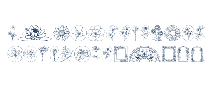 Wildflower III Lowercase