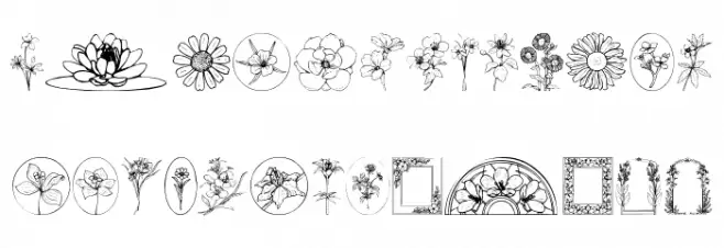 Wildflower III Fuentes MINÚSCULAS
