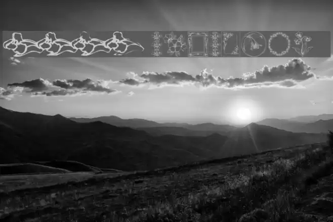 Wildflower IV Font examples