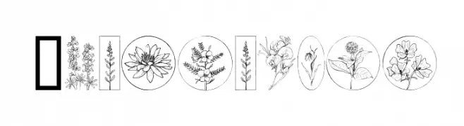 Wildflower  Frei Schriftart Herunterladen