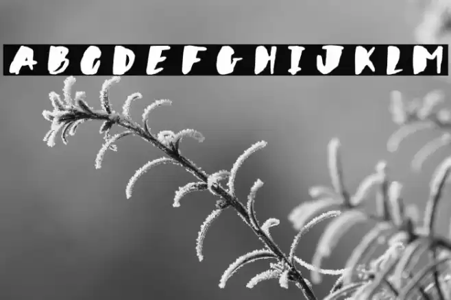 Wildflower Font examples