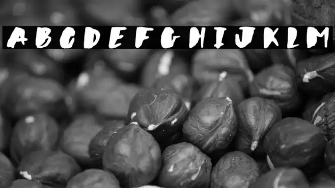 Wildflower Font examples