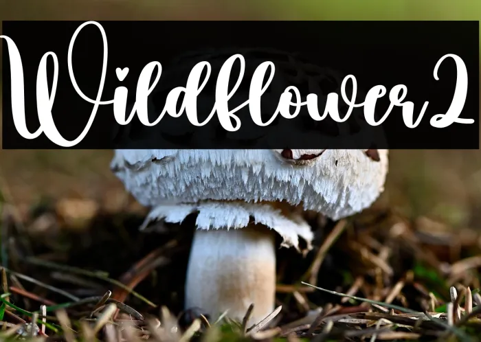 Wildflower2 Example 1