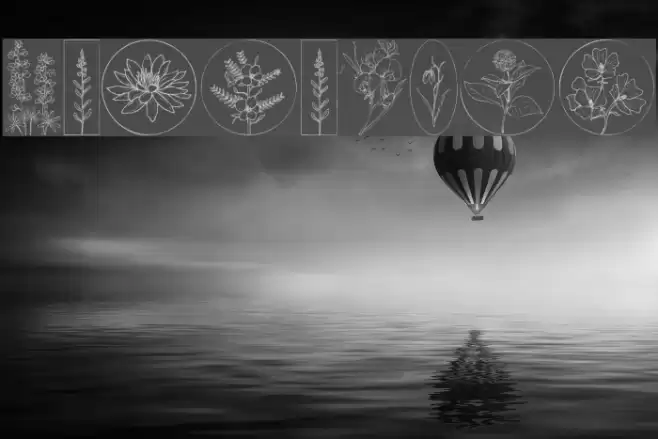 Wildflower Font examples