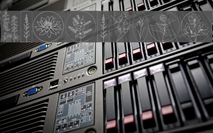 Wildflower Example 2