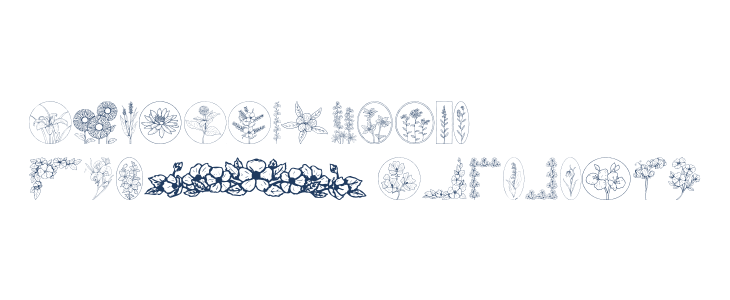 Wildflower Lowercase