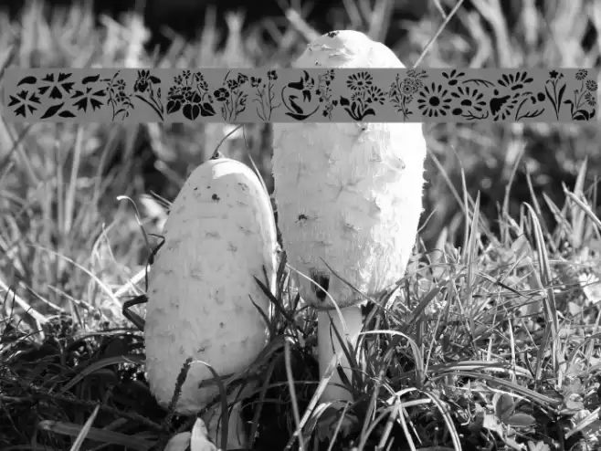 Wildflowers2 Font examples