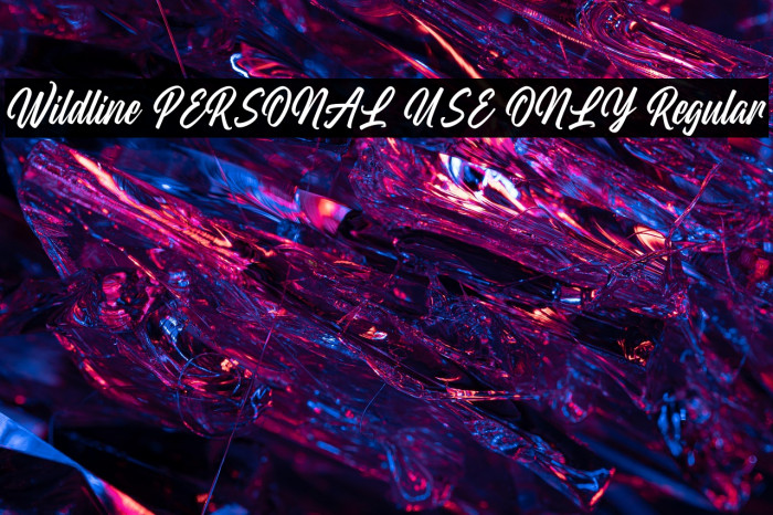 Wildline PERSONAL USE ONLY Regular Example 1