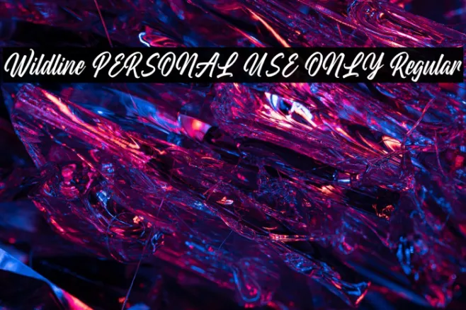 Wildline PERSONAL USE ONLY Regular Example 1
