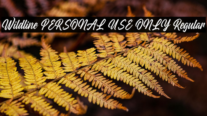 Wildline PERSONAL USE ONLY Regular Example 2