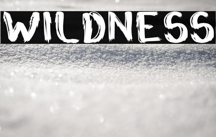 Wildness Example 1