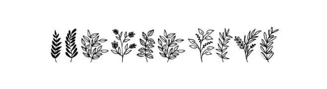 Wildplants  Fuentes Gratis Descargar