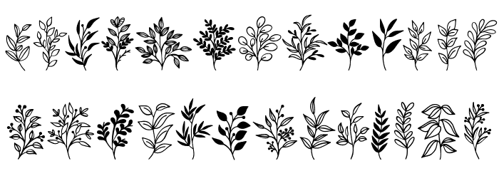 Wildplants Font OTHER CHARS