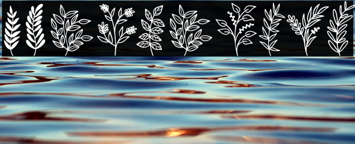 Wildplants Example 1