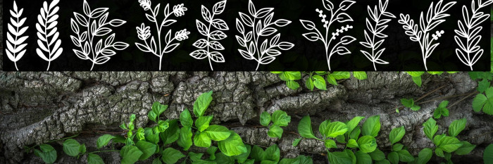 Wildplants Example 2