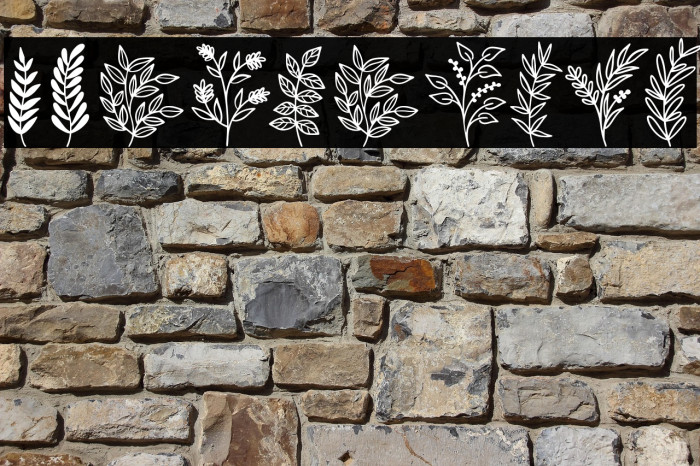 Wildplants Example 3