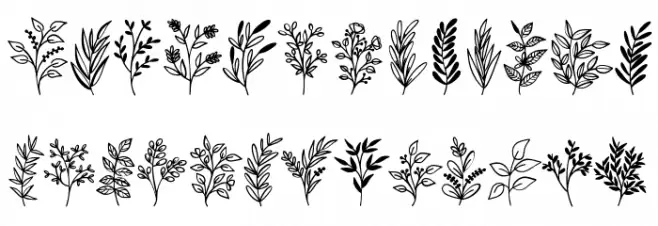 Wildplants Fuentes MINÚSCULAS