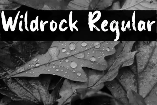 Wildrock Regular Font examples