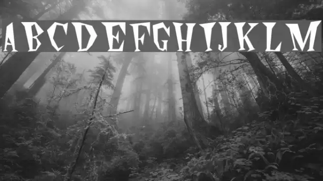 Wildside Plain Font examples