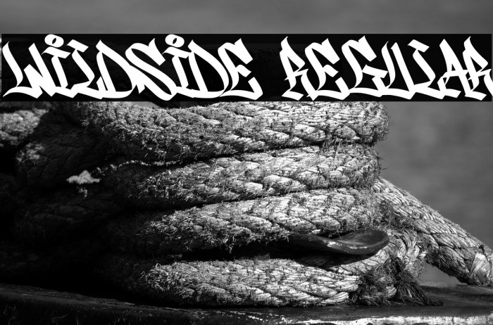 Wildside Regular Example 1