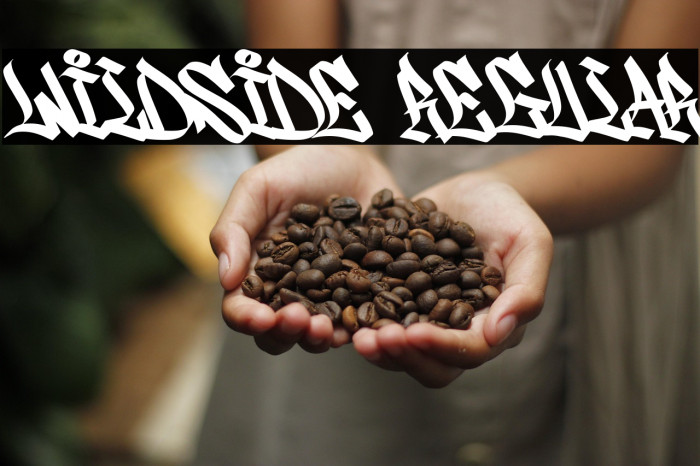 Wildside Regular Example 2