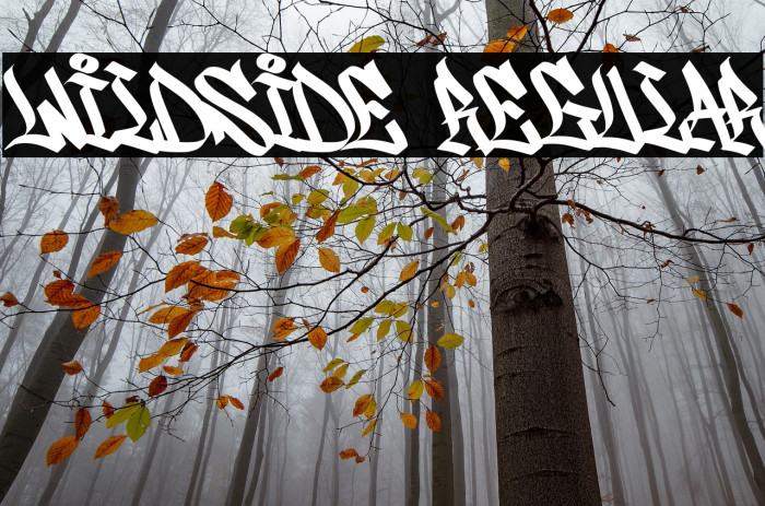 Wildside Regular Example 3