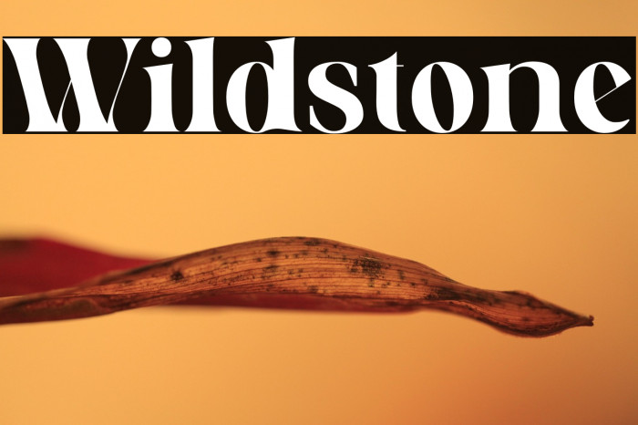 Wildstone Example 1
