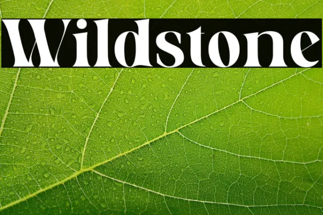 Wildstone Example 3