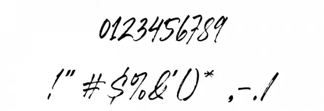 Wildstreet Font OTHER CHARS