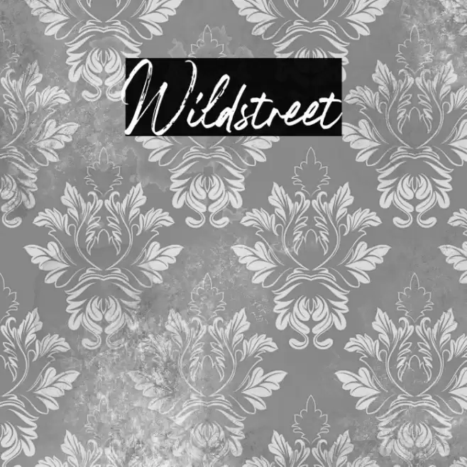 Wildstreet Font examples