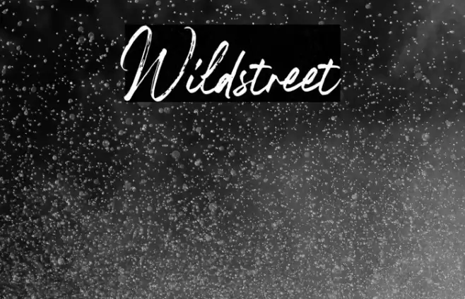 Wildstreet Font examples