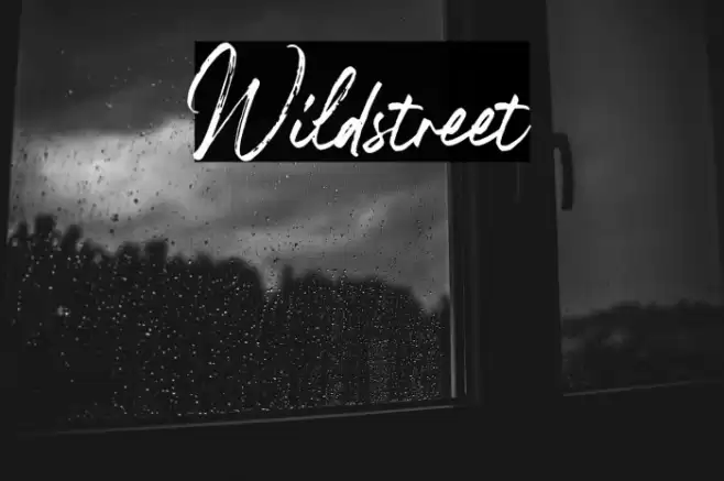 Wildstreet Font examples