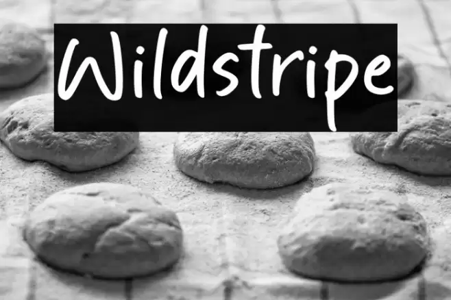 Wildstripe Font examples