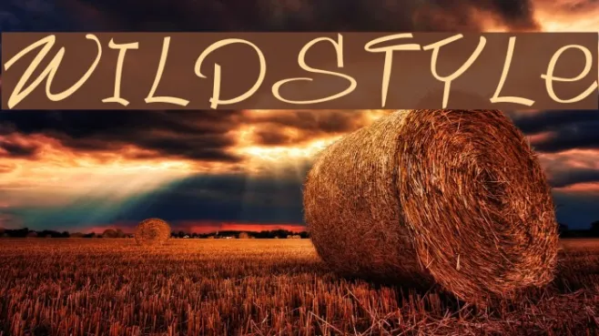Wildstyle Example 1
