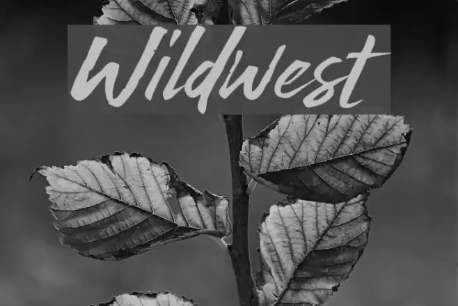 Wildwest Font examples