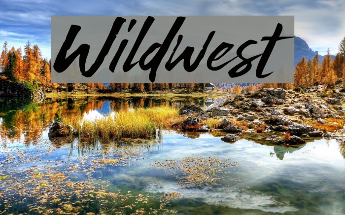 Wildwest Шрифта examples